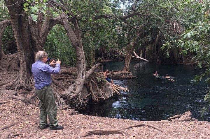 Materuni waterfalls, coffee tour & kikuletwa hot springs