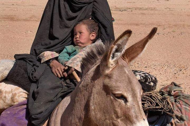 3 Days Marrakech To Fes Desert Tour Via Merzouga