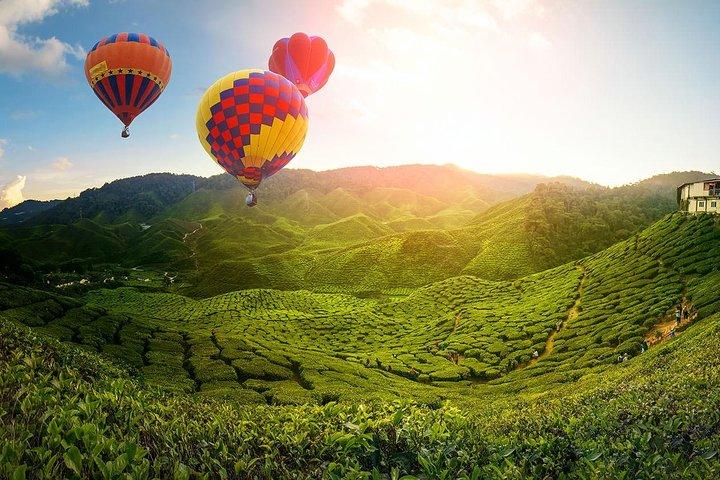 2D1N Natur- und Kulturerbe : Cameron Highlands, Ipoh & Glühwürmchen Tour