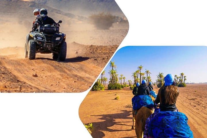 ATV Quad biking Marrakech desert palmgrove