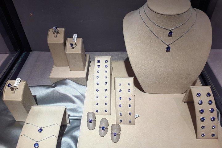 ケープタウン発：テーブルマウンテンツアー付き半日市内観光