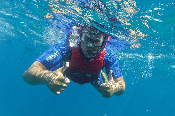 Kajaksejlads og snorkling
