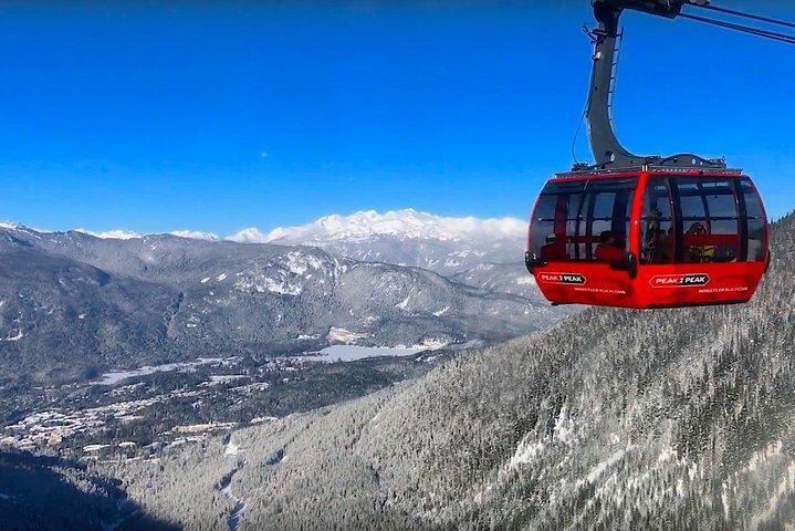 Begeleide sightseeingtour in Vancouver, Shannon Falls en Whistler