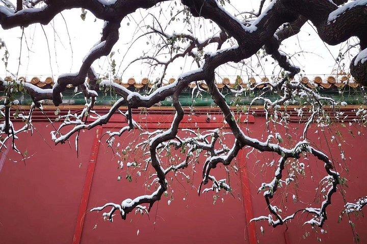フォーデイズ北京上海ベストクラシック品質プライベートツアー