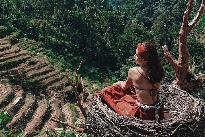 Bali : visite des points forts d'Ubud avec guide privé et transferts