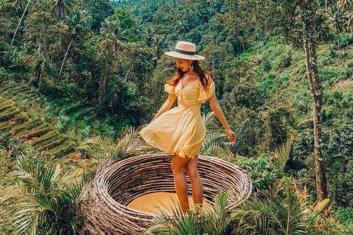 Bali : visite des points forts d'Ubud avec guide privé et transferts
