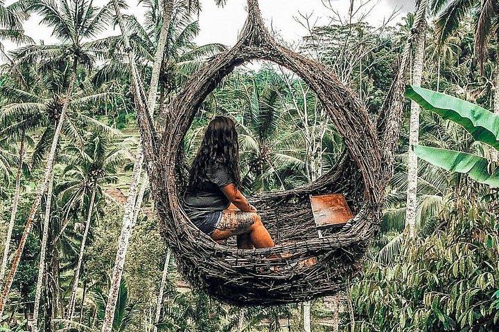 Bali : visite des points forts d'Ubud avec guide privé et transferts