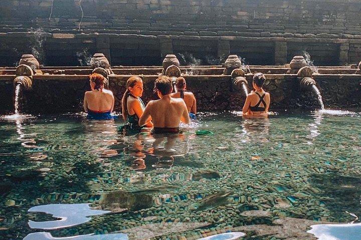 Bali : visite des points forts d'Ubud avec guide privé et transferts