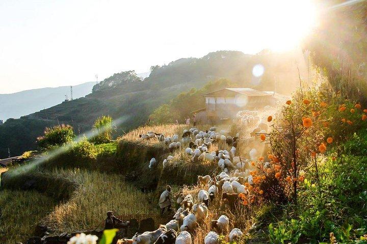 ポカラから5日間のSikles Trek