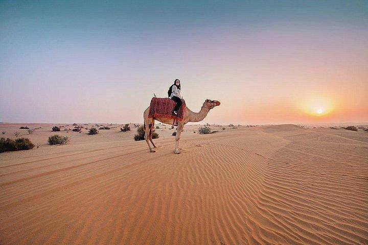 Dubai : Red Dunes Safari, Quad, Camel, Dune Bash, BBQ & Shows