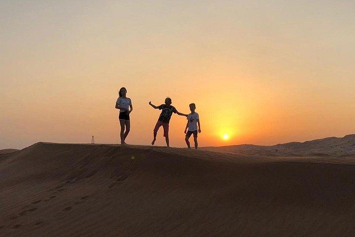 Dubai : Red Dunes Safari, Quad, Camel, Dune Bash, BBQ & Shows
