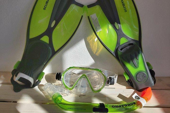 Snorkel in Lanzarote with Guide