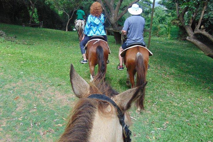 Tour naturalistici e storici a cavallo St. Lucia