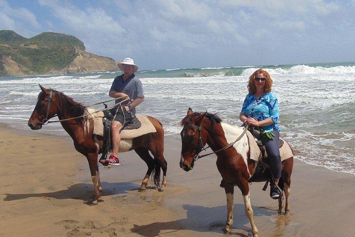 Natur og historiske rideture St. Lucia