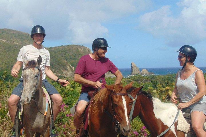 Tour naturalistici e storici a cavallo St. Lucia
