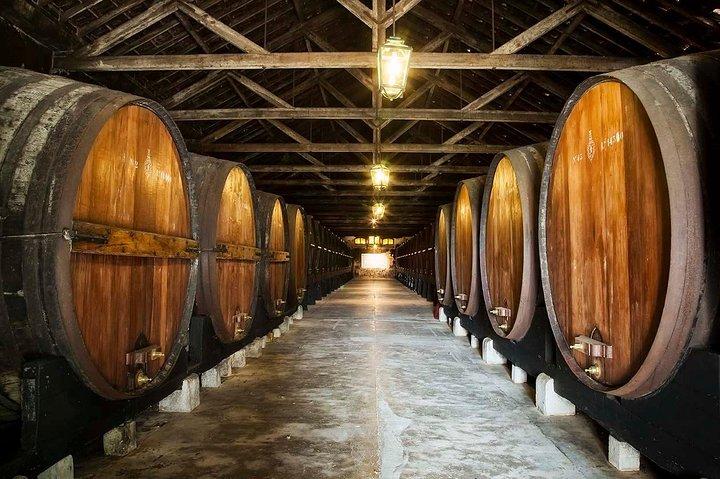 South Portugal Wine Route Private Full Day Tour from Lisbon