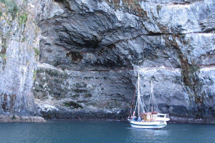 Excursion de voile et de faune Akaroa Fox II Sailing