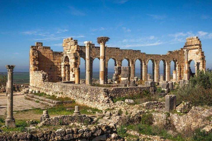 Privat Meknes Volubilis -Mouly Idriss dagstur fra Fez