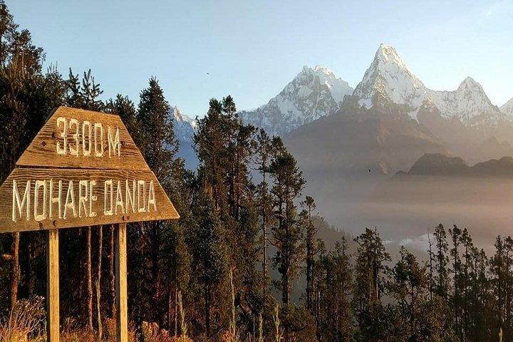 5 Days Amazing Mohare Danda Trek From Pokhara