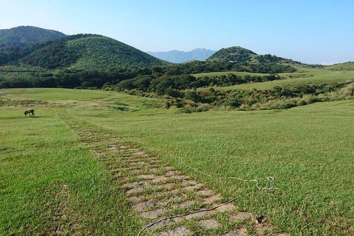 Keelung Shore Utflykt: Yangmingshan Hot Spring och Wild Vegetable Cuisine Tour