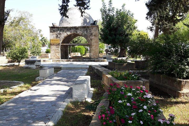 Cirenia Tour