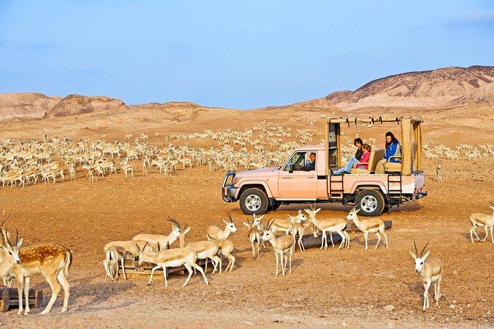 Nature and Wildlife Drive with Lunch- Must do Experience