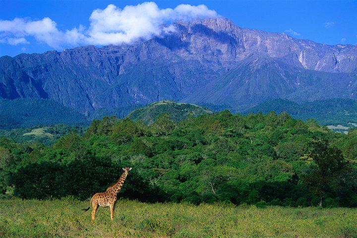 1 dag: Arusha Nationaal Park