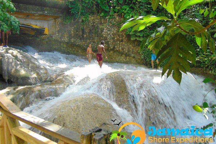 Recorrido por la ciudad de Dunn's River Falls y Ocho Ríos