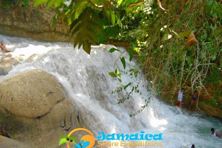 Recorrido por la ciudad de Dunn's River Falls y Ocho Ríos