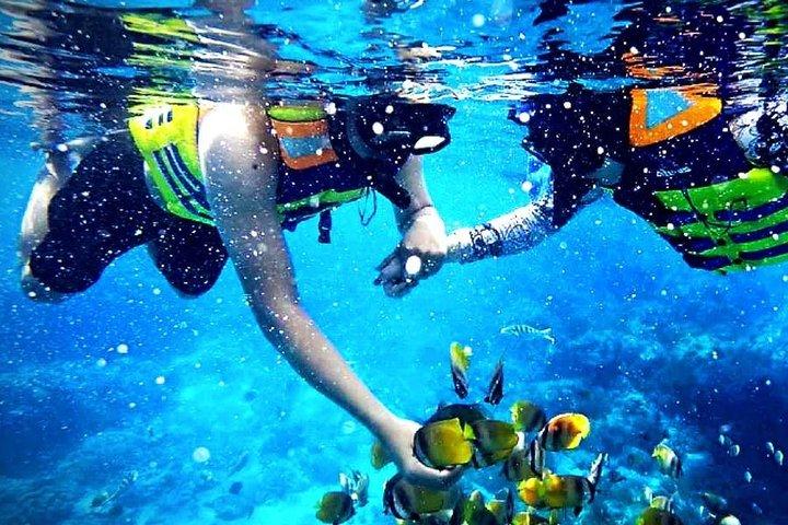 Reef Snorkeling - Sea trip Hurghada