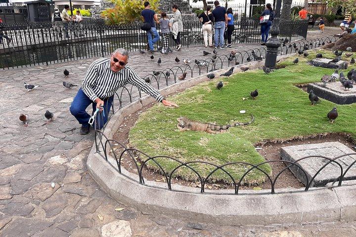 セロ サンタ アナの灯台を含むグアヤキル市内ツアー
