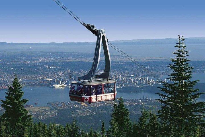 Private Capilano & Grouse Mountain — Bilhetes e entrega incluídos