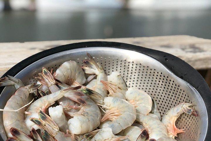 Escenas de la historia de Shem Creek y tour a pie de camarones