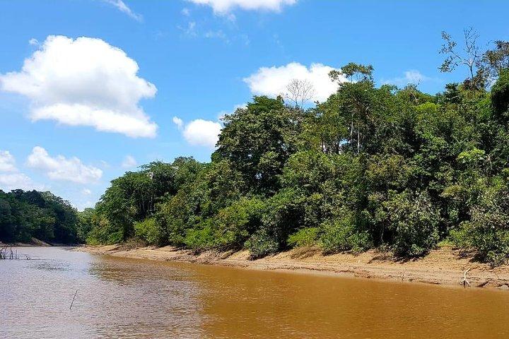 Amazon Discovery 4 dias e 3 noites na reserva pacaya-samiria