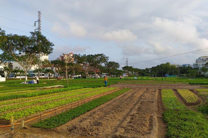 Da Nang Farming Bike Tour & lokales Essen Erlebnis