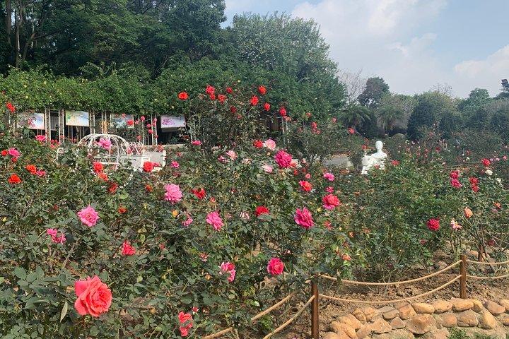 広州のYuntai GardenとBaiyun Mountainへの半日プライベートツアー