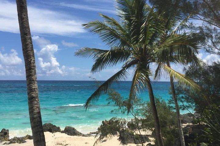 Experiência de lúpulo nas praias das Bermudas