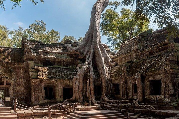 Templos de assinatura de Siem Reap descobertos