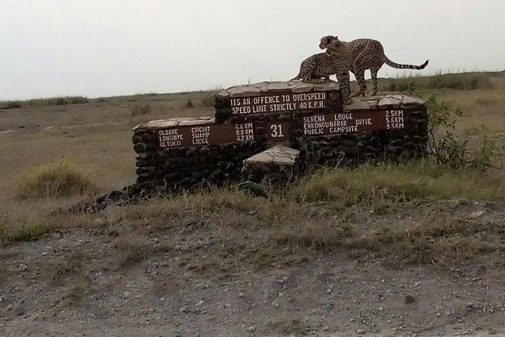 2 Tage Safari im Amboseli Naitional Park