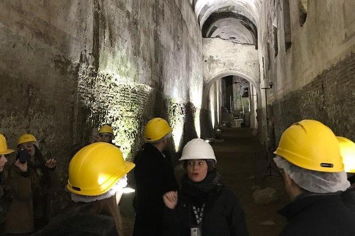 Visita guiada a Domus Aurea