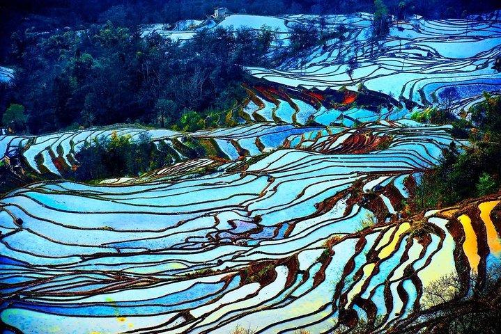 4 dagars Yunnan Yuanyang ris terrasser fotograferingstur från Kunming