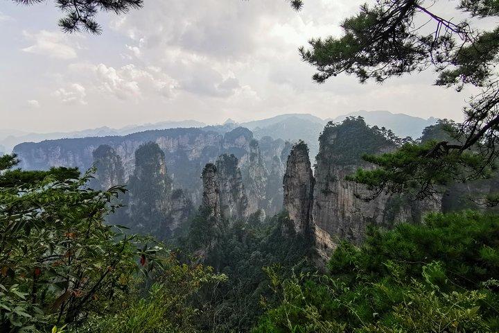Private Tagestour: Entdecken Sie den Zhangjiajie National Forest Park-Avatar Mountain