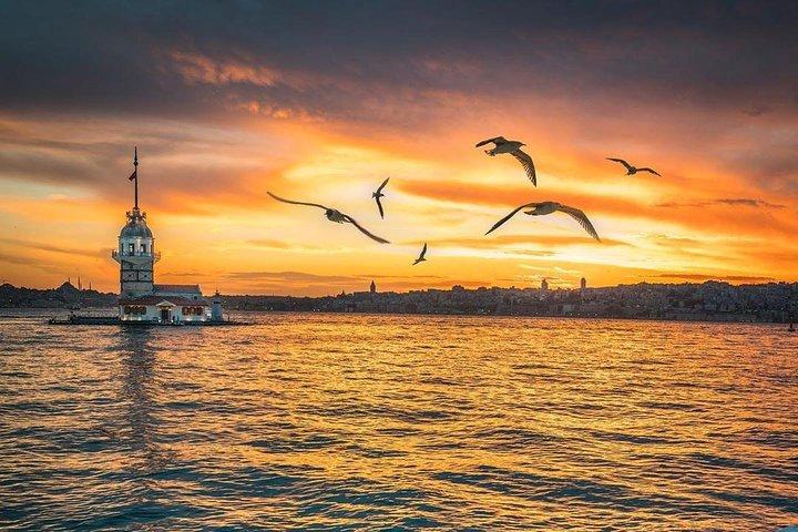 Bosphorus Dinner Cruise for Transit Passengers with Pick up