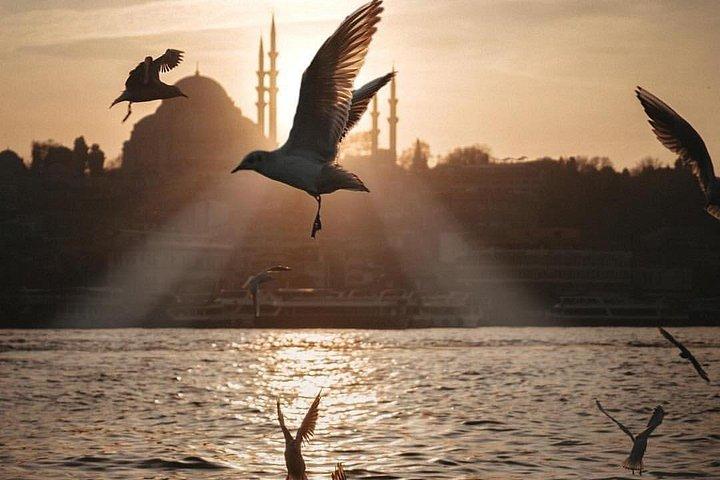 Bosphorus Dinner Cruise for Transit Passengers with Pick up