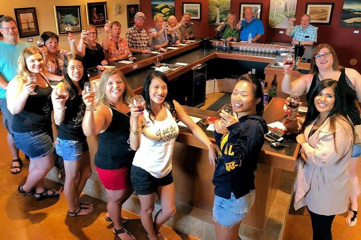 Dégustation de vins VIP à Branson et visite du dîner