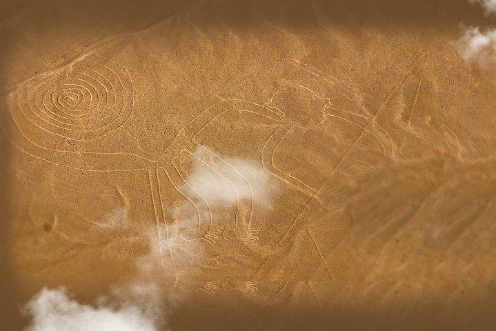 Líneas de Nazca y Dune Buggy (Huacachina) desde Ica