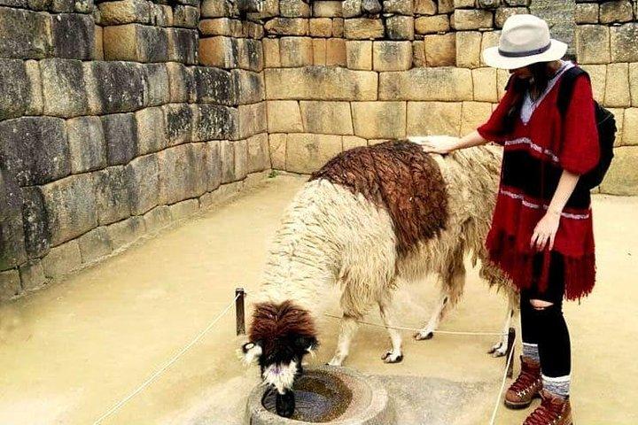 Machupicchu Full Day