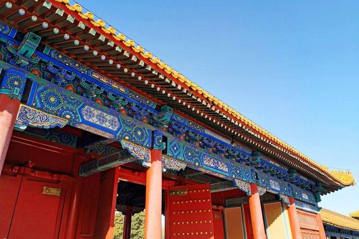 Forbidden City Layover Tour med fantastisk utsikt över stadens centrum