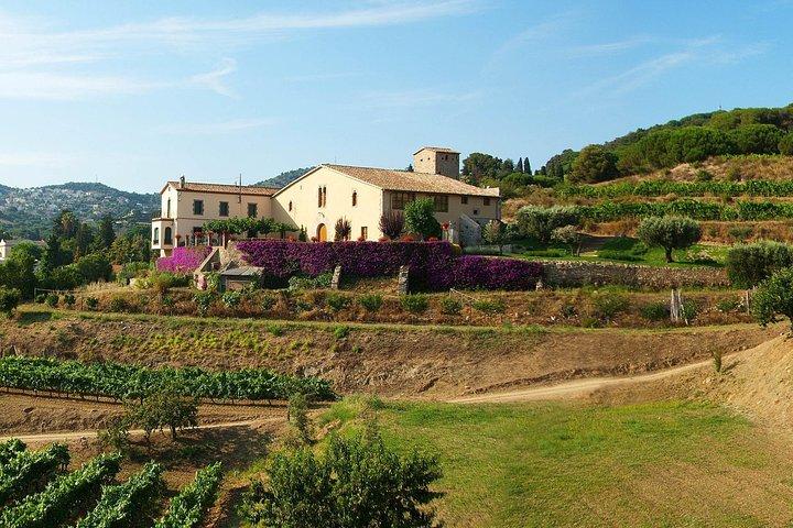 Privates Frühstücks-Weingut-Erlebnis - Private Weinprobe-Tour