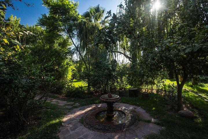 Ourika Garden Guided Day Trip vanuit Marrakech